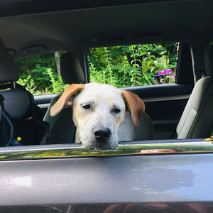 Meet your Posher, Macaela